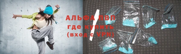 PSILOCYBIN Гусев