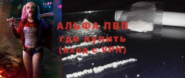 стаф Гусиноозёрск