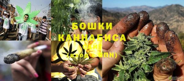 PSILOCYBIN Гусев