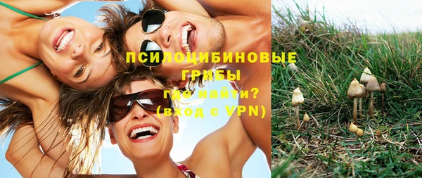 стаф Гусиноозёрск