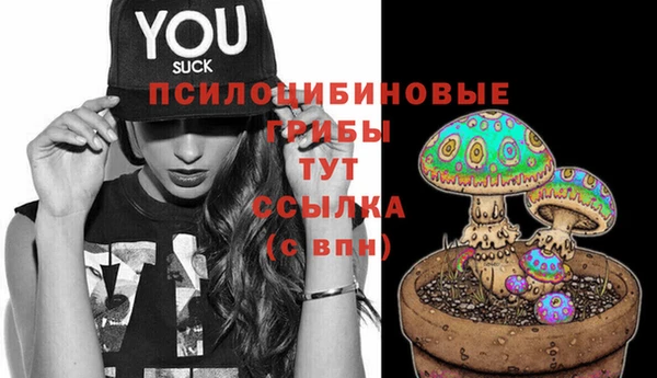 mix Гусь-Хрустальный