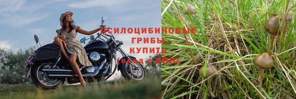 mix Гусь-Хрустальный