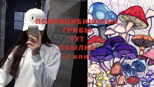 PSILOCYBIN Гусев