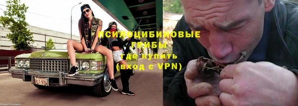стаф Гусиноозёрск